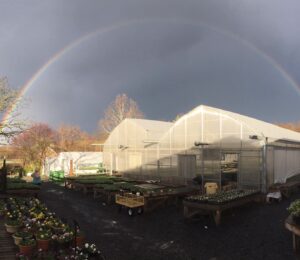 Rainbow Over Greenhouse